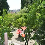 Zest House 3* סנטה ונרינה