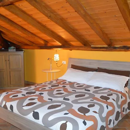 Zest House Bed & Breakfast