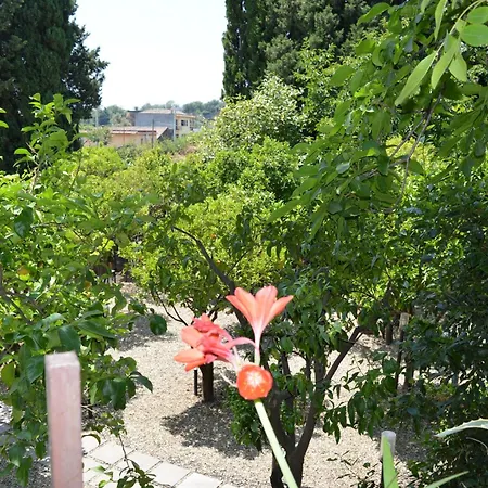 Zest House 3* Santa Venerina