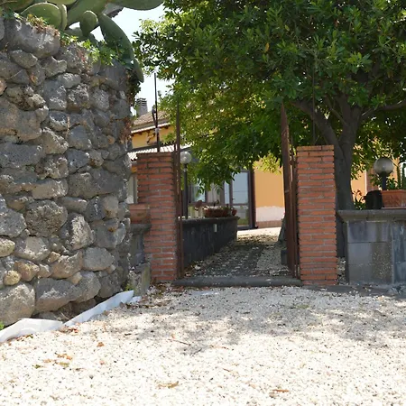 Zest House