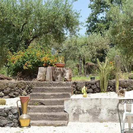 Bed and Breakfast Zest House *